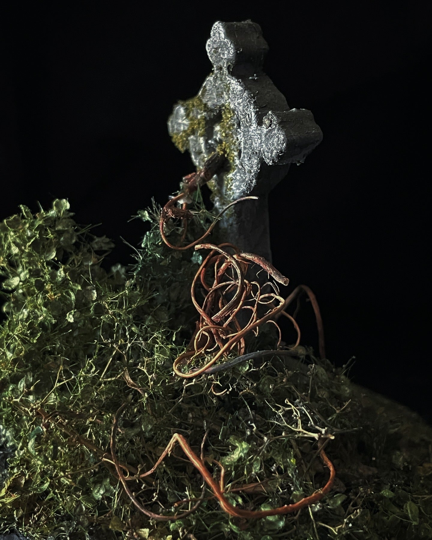 Forgotten grave