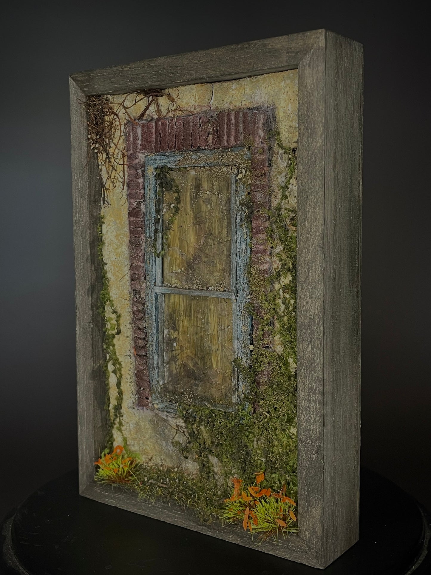 Neglected Window 1