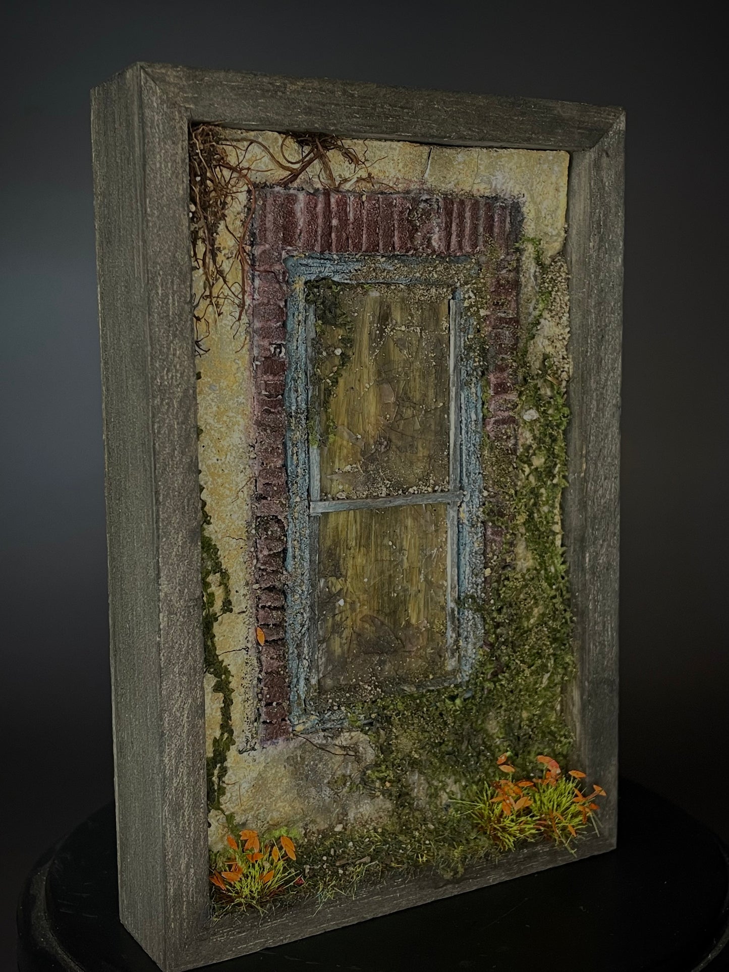 Neglected Window 1