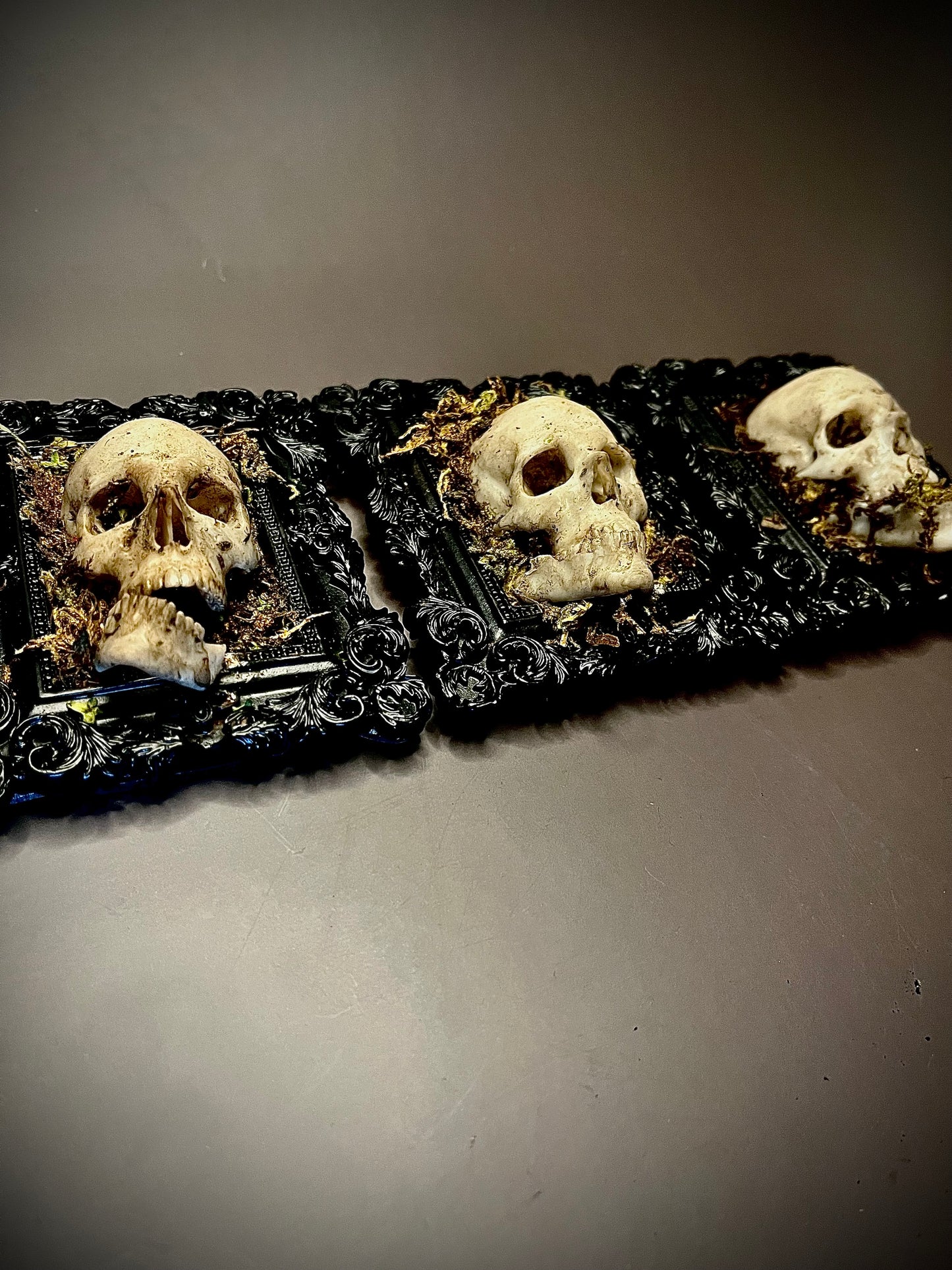 Overgrown skull