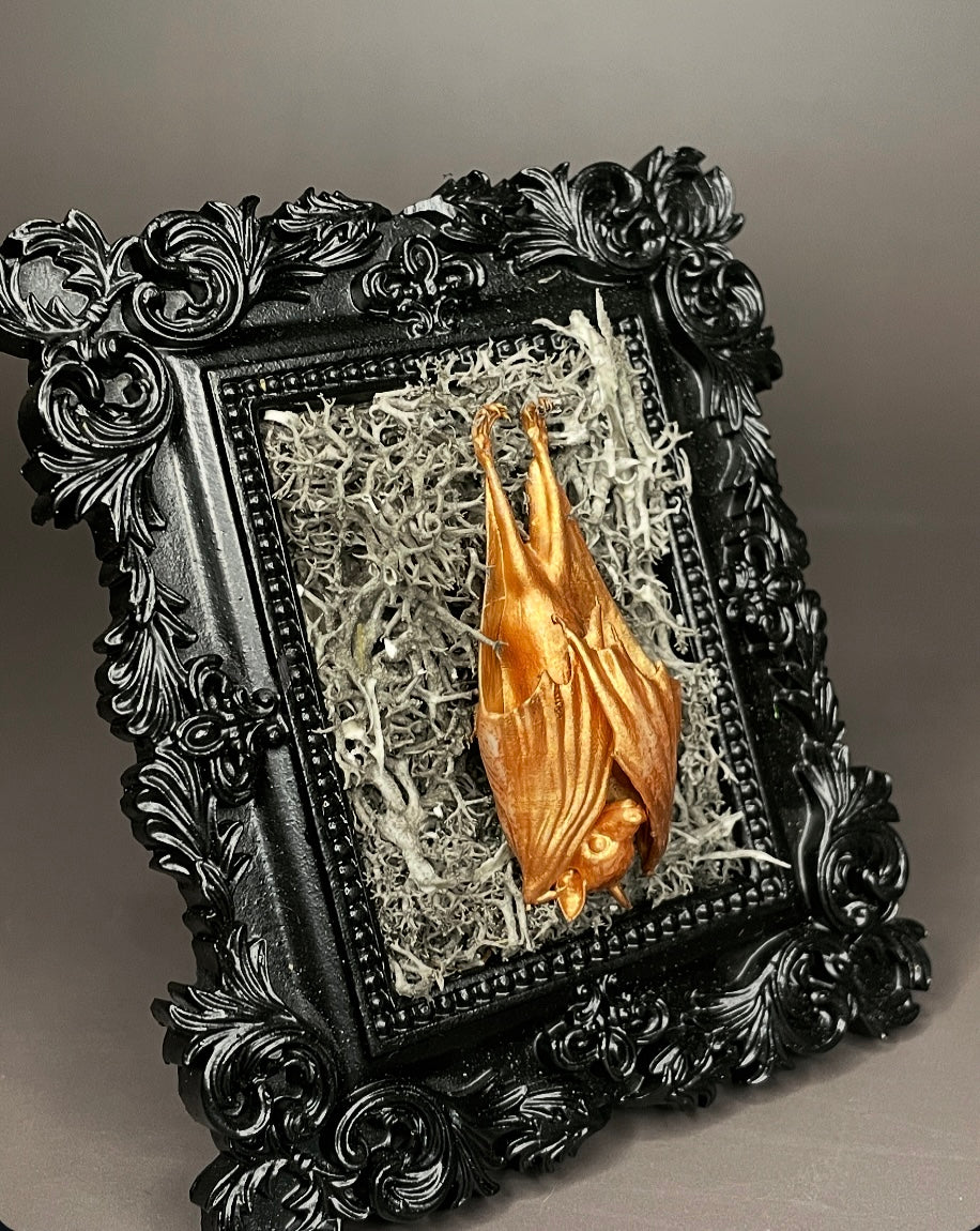 Framed Bat: Bronze, Grey Moss (Mini)