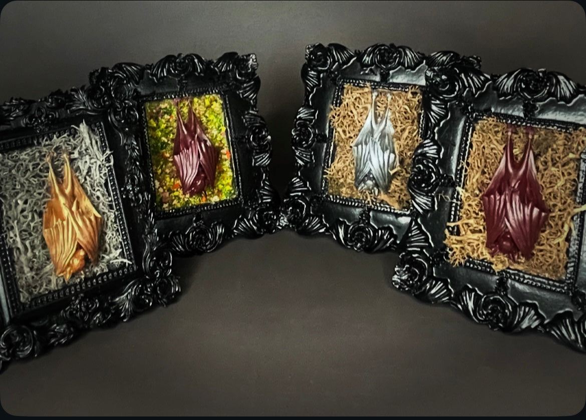 Framed Bat: Silver, Brown Moss (Mini)