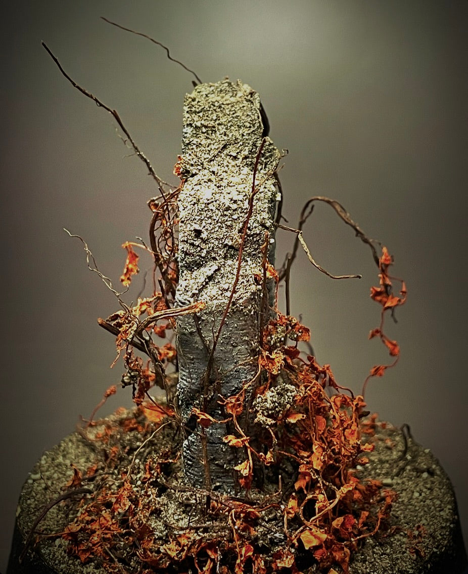 Forgotten Grave II