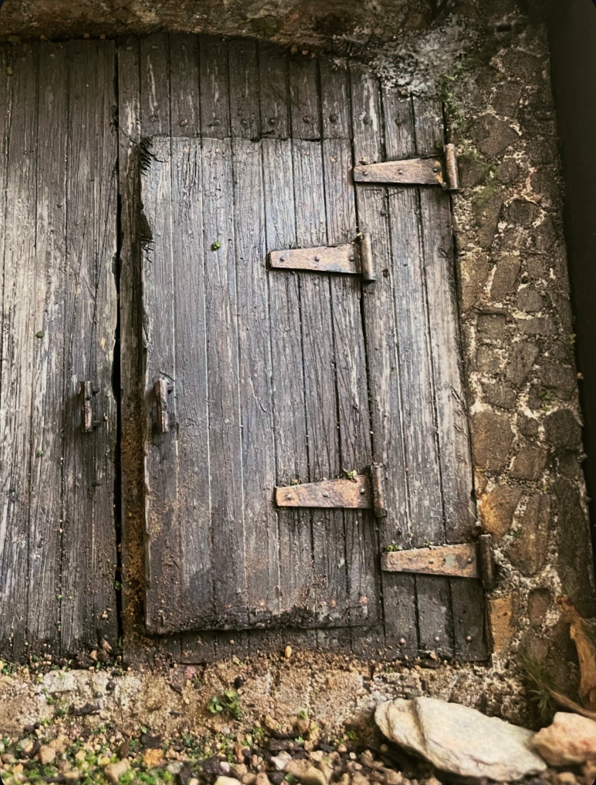 Abandoned Shed Door