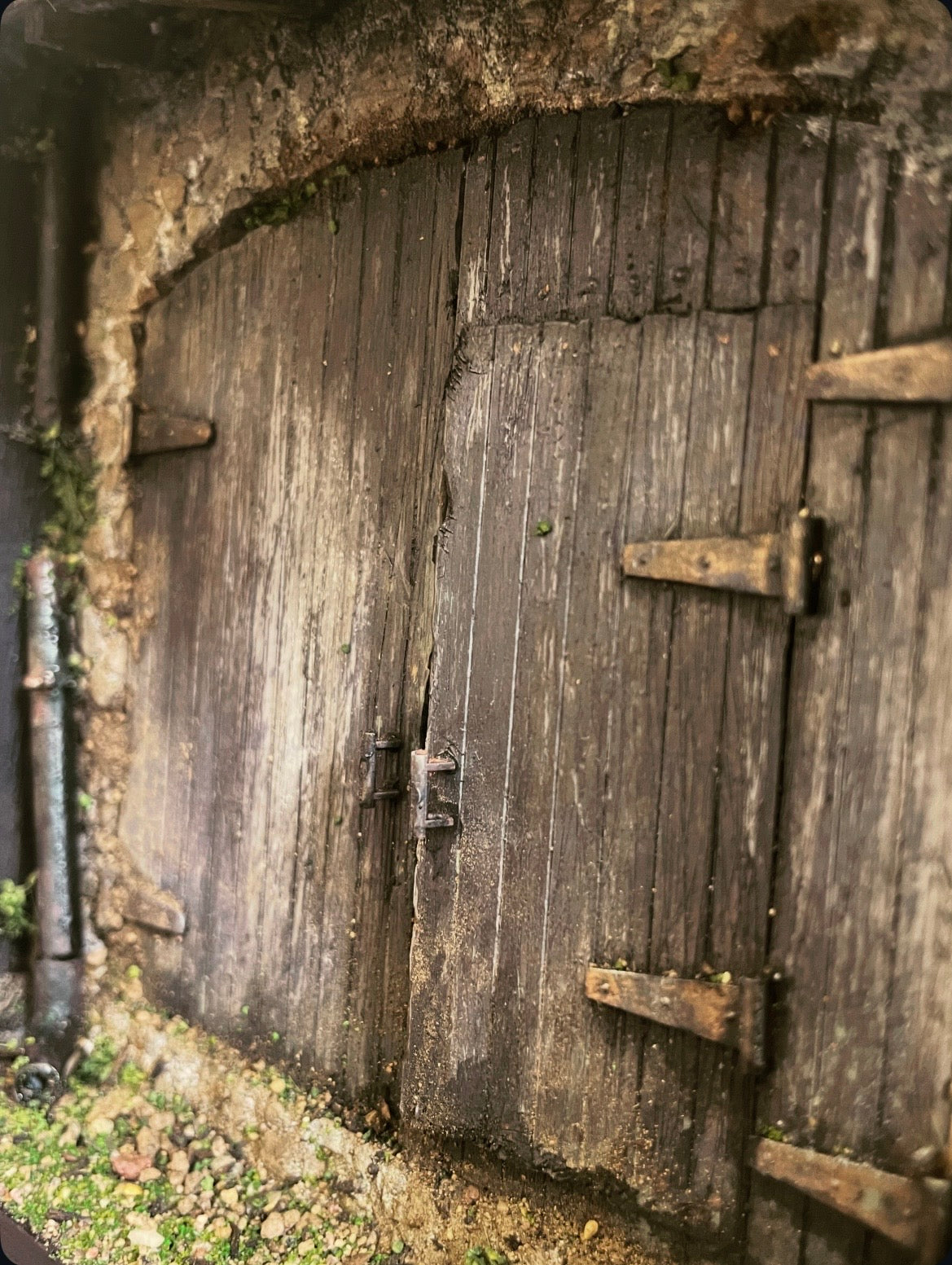 Abandoned Shed Door