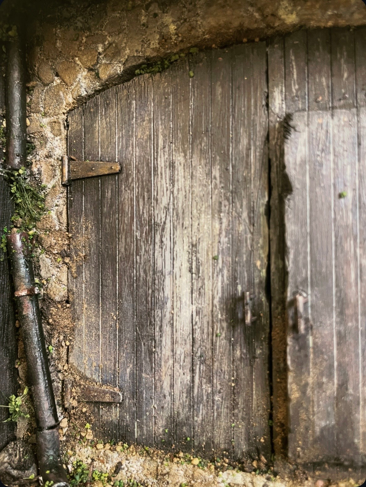 Abandoned Shed Door