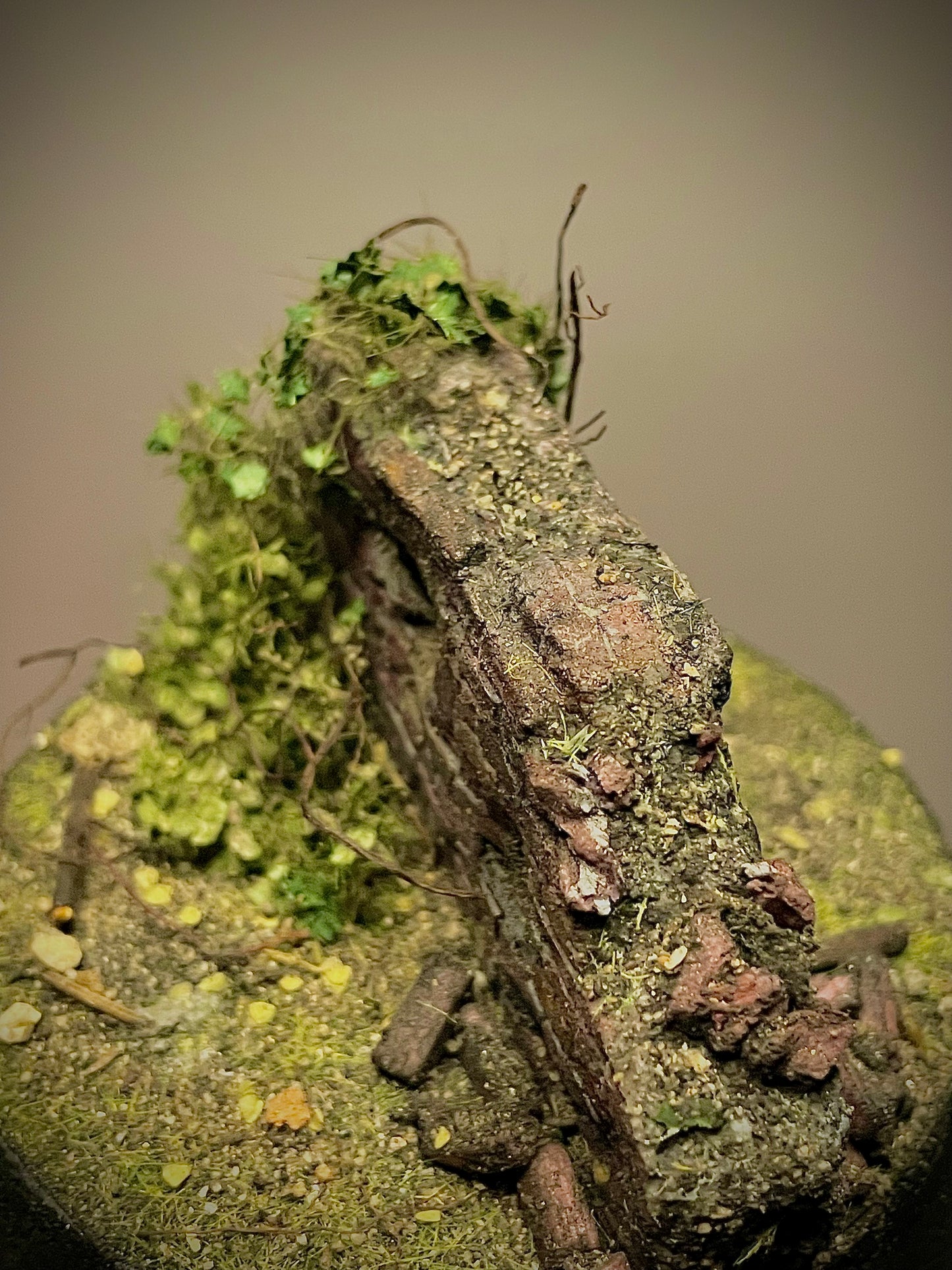 Withered Wall