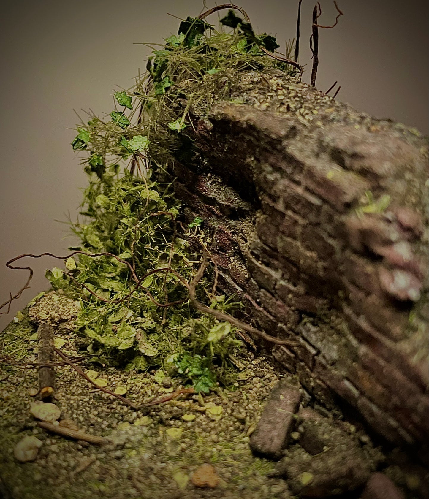 Withered Wall