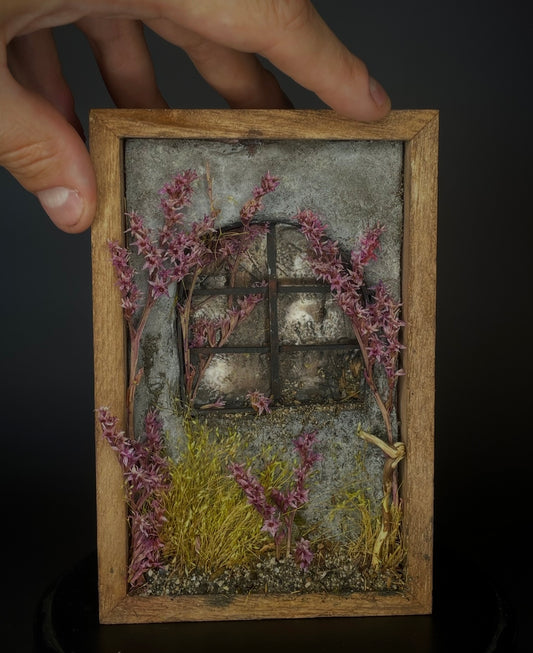 Neglected Window 2