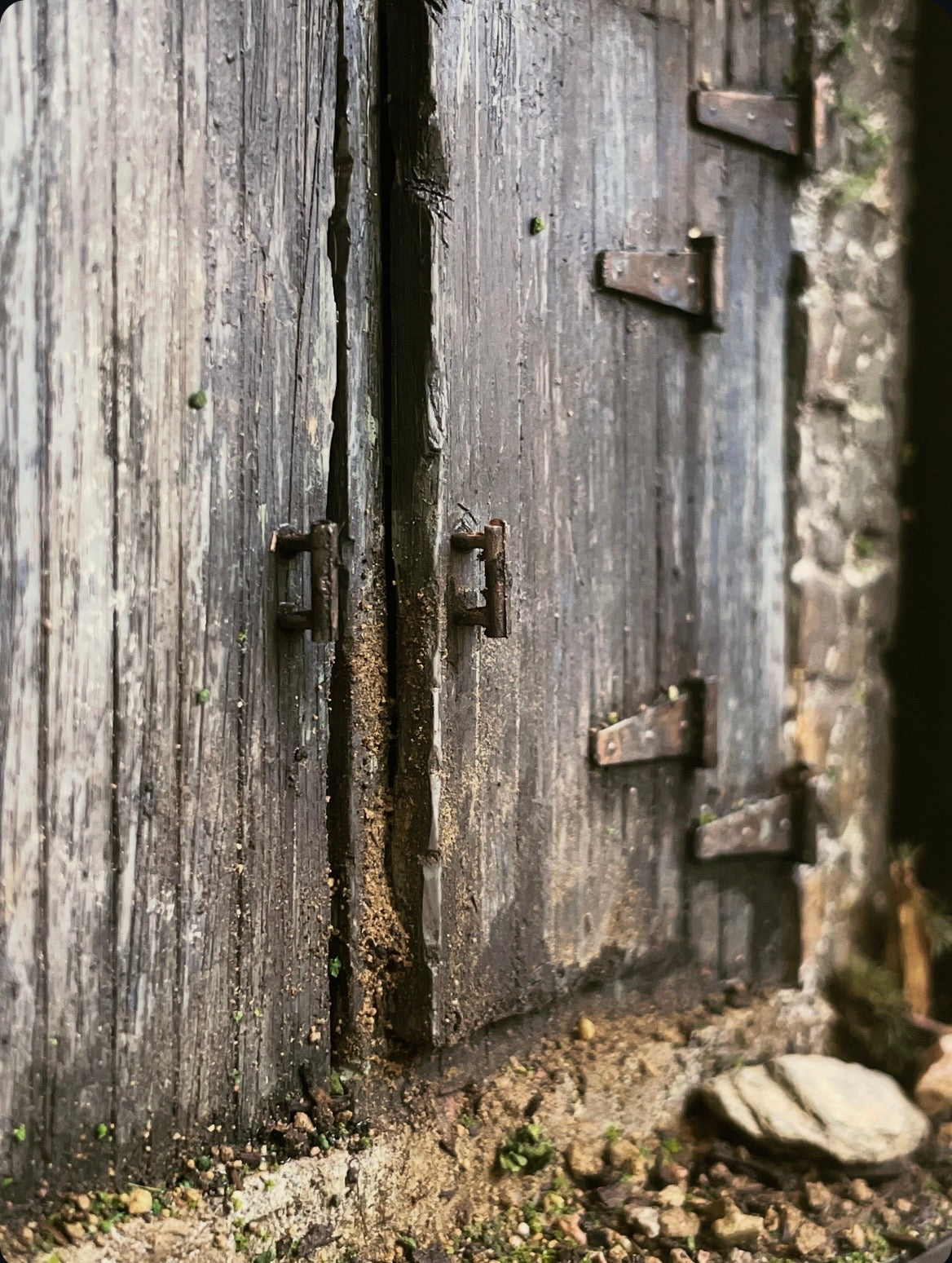 Abandoned Shed Door