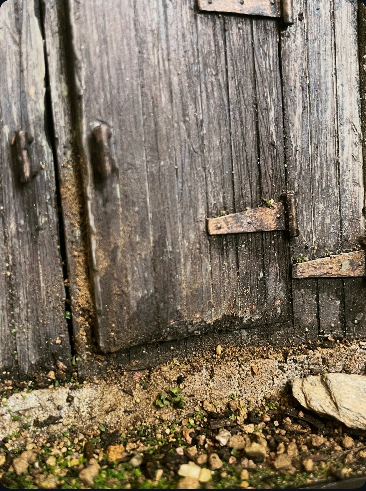 Abandoned Shed Door