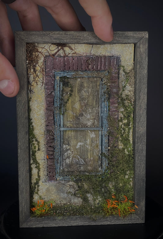 Neglected Window 1