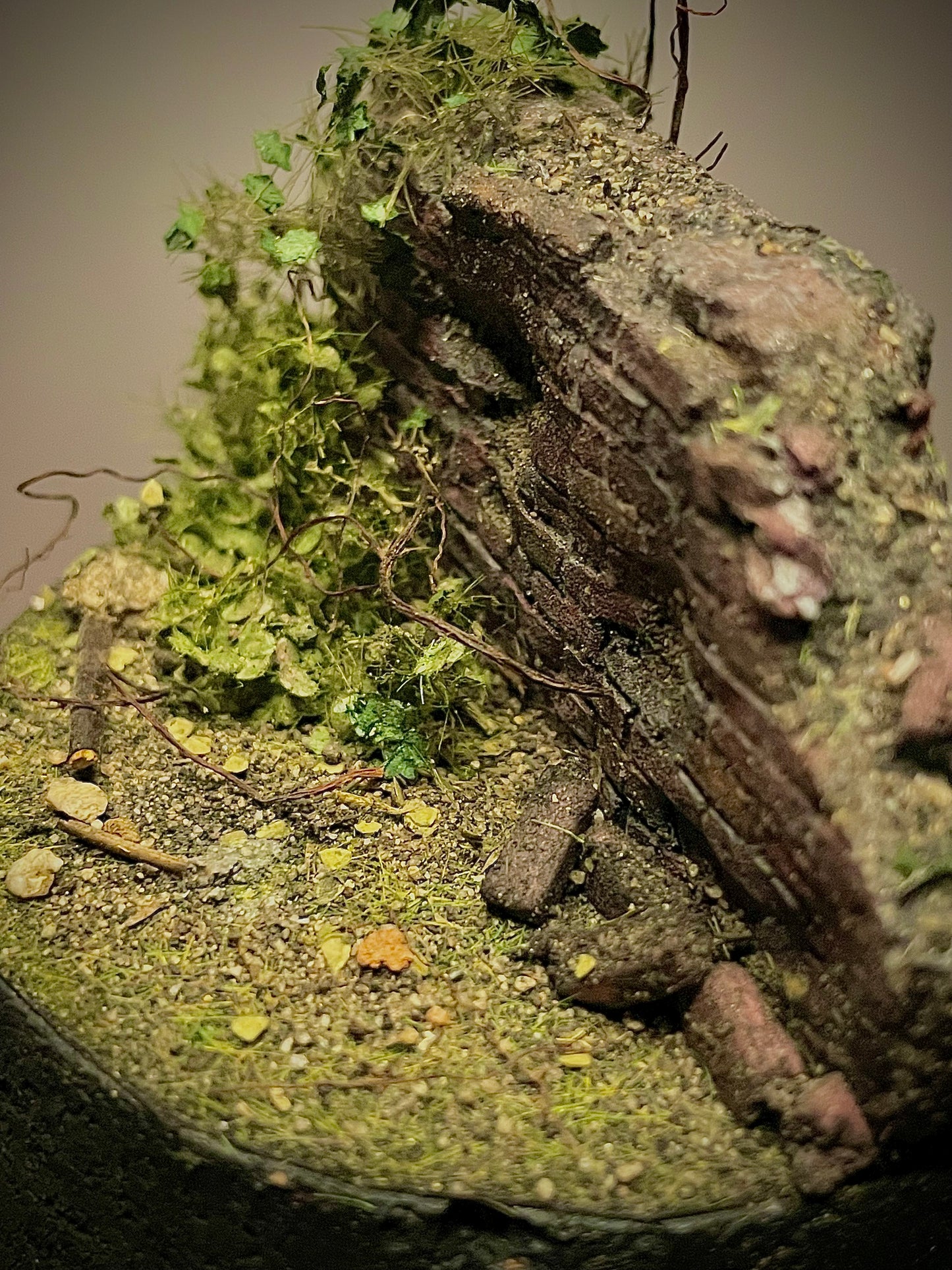 Withered Wall