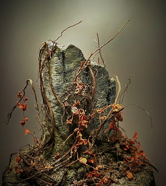 Forgotten Grave II