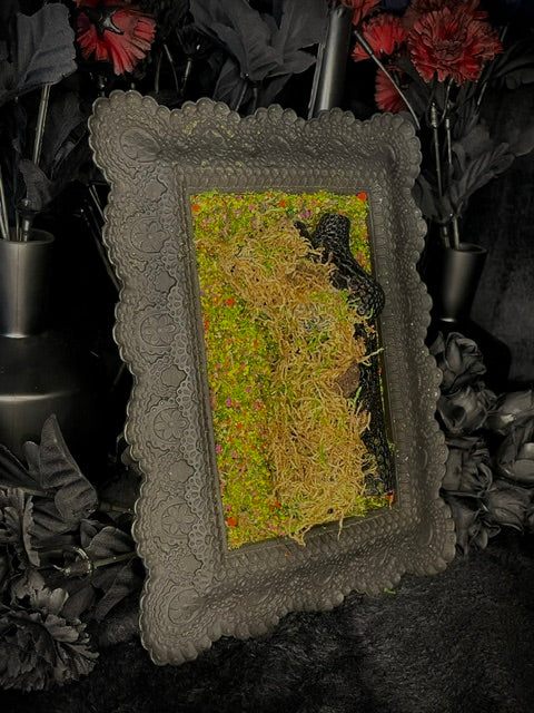"Reclaimed" - Eco goddess