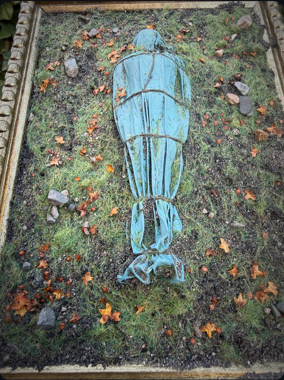 Cocoon