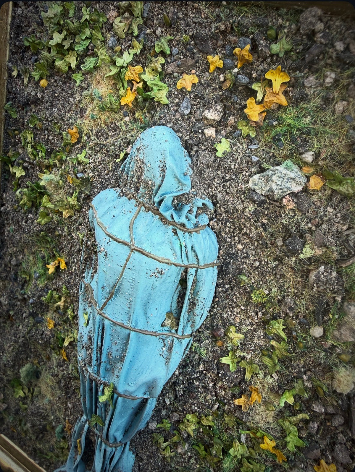 Cocoon