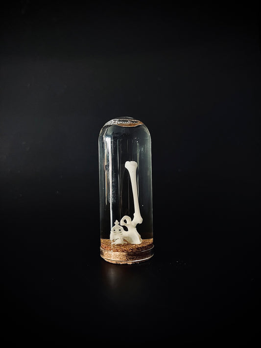 Hip and bone vial